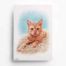 Laden Sie das Bild in den Galerie-Viewer, Katzenportrait – Katze zeichnen lassen - handgezeichnet - Zeichnung