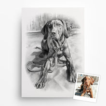 Laden Sie das Bild in den Galerie-Viewer, Hundeportrait – Hund malen lassen - handgezeichnet - Zeichnung