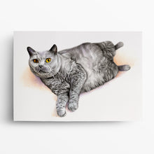 Laden Sie das Bild in den Galerie-Viewer, Katzenportrait – Katze zeichnen lassen - handgezeichnet - Zeichnung