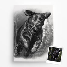 Laden Sie das Bild in den Galerie-Viewer, Hundeportrait – Hund malen lassen - handgezeichnet - Zeichnung