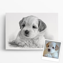 Laden Sie das Bild in den Galerie-Viewer, Hundeportrait – Hund malen lassen - handgezeichnet - Zeichnung