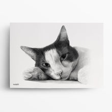 Laden Sie das Bild in den Galerie-Viewer, Katzenportrait – Katze zeichnen lassen - handgezeichnet - Zeichnung