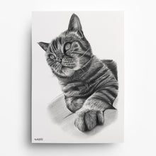 Laden Sie das Bild in den Galerie-Viewer, Katzenportrait – Katze zeichnen lassen - handgezeichnet - Zeichnung
