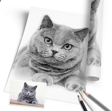Laden Sie das Bild in den Galerie-Viewer, Katzenportrait – Katze zeichnen lassen - handgezeichnet - Zeichnung