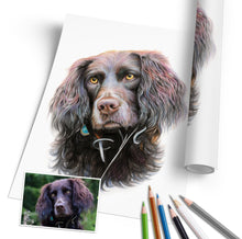 Laden Sie das Bild in den Galerie-Viewer, Hundeportrait – Hund malen lassen - handgezeichnet - Zeichnung