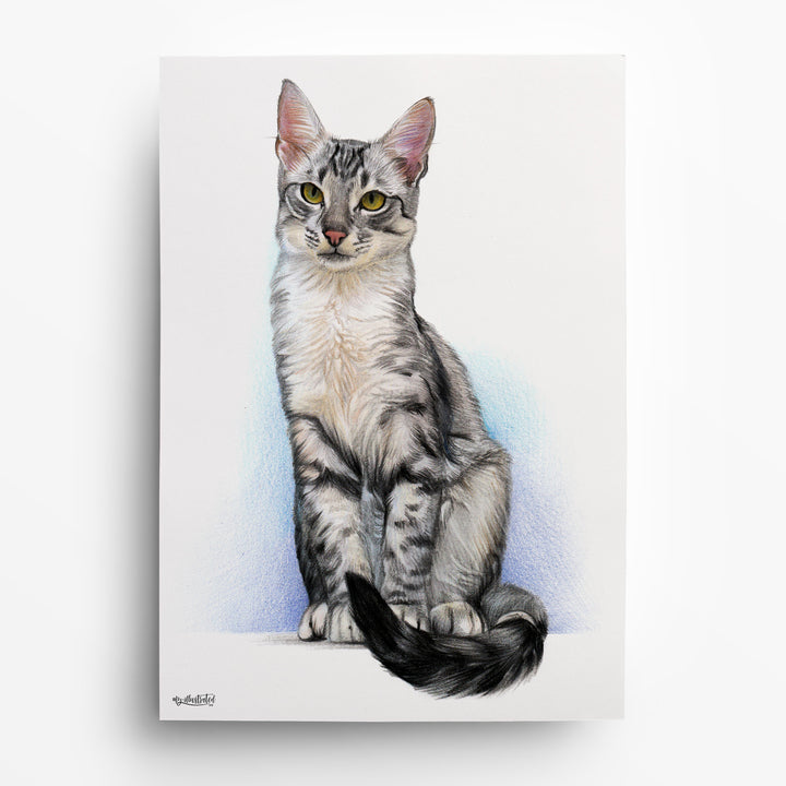 Farbiges Katzenportrait mit Buntstift nach Foto