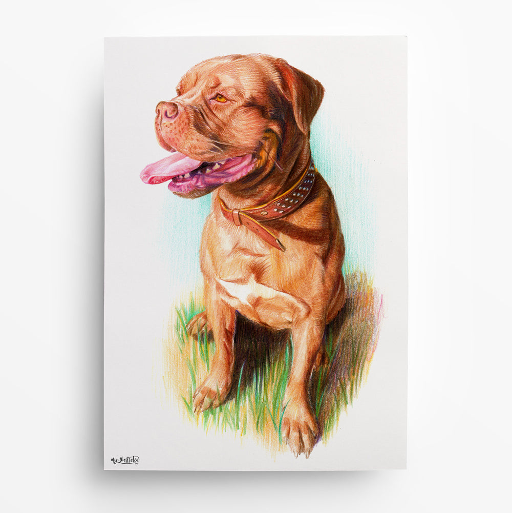 Hundeportrait nach Foto von My Illustrated