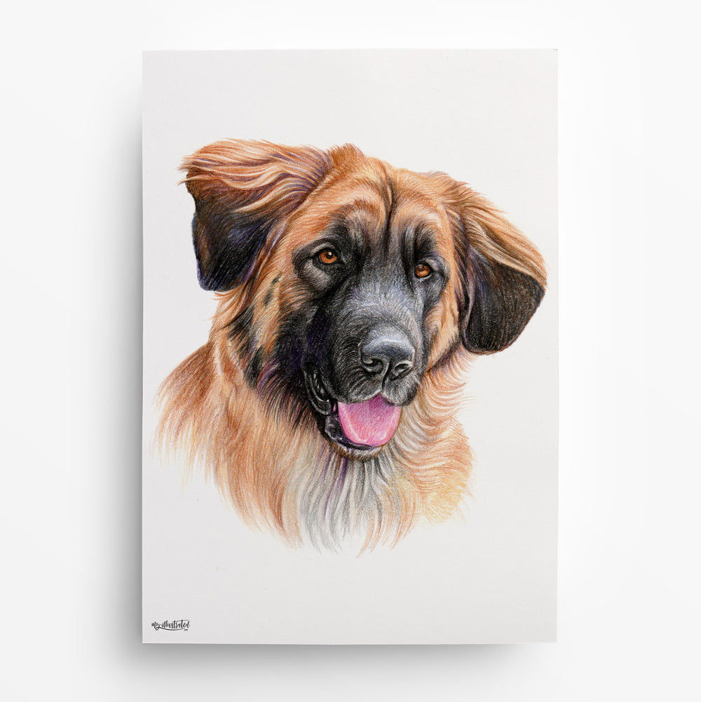 Hundeportrait nach Foto von My Illustrated