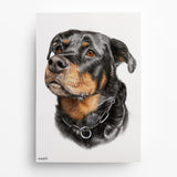 Hundeportrait nach Foto – Beispiel 7