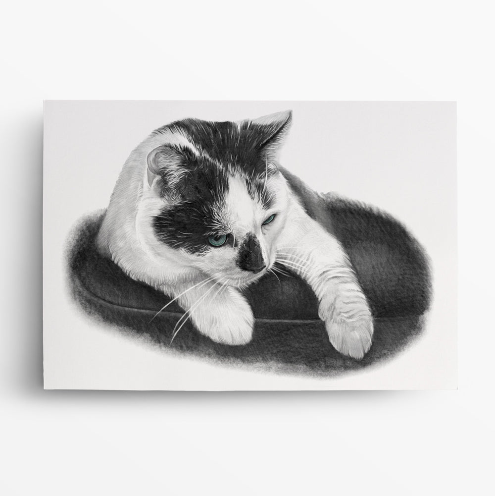 Katzenportrait nach Foto von My Illustrated
