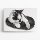 Katzenportrait nach Foto – Beispiel 4