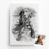 Hundeportrait nach Foto – Beispiel 8