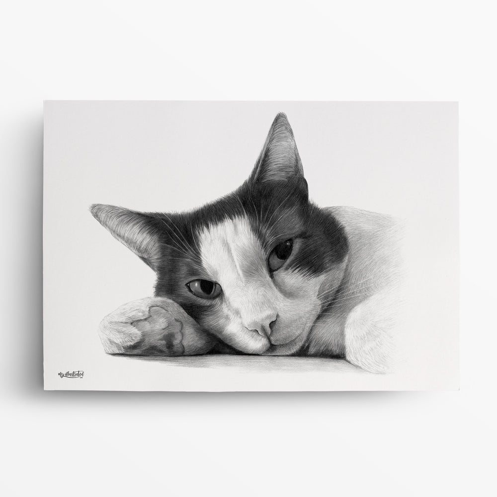 Katzenportrait nach Foto von My Illustrated