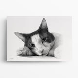 Katzenportrait nach Foto – Beispiel 6