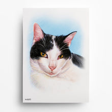 Laden Sie das Bild in den Galerie-Viewer, Katzenportrait – Katze zeichnen lassen - handgezeichnet - Zeichnung