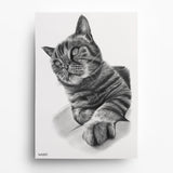 Katzenportrait nach Foto – Beispiel 13