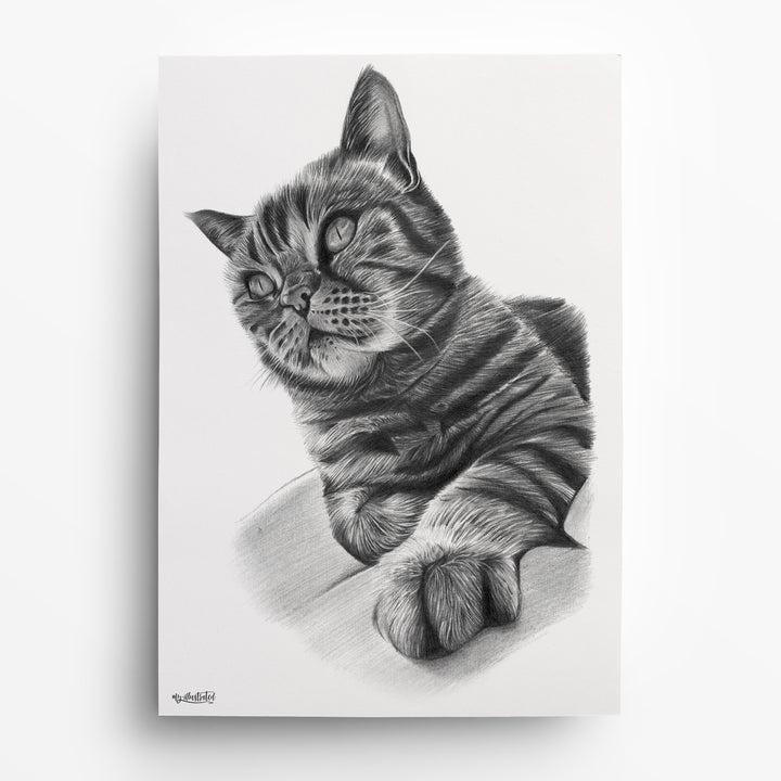 Katze mit Bleistift zeichnen lassen – Katzenportrait nach Foto