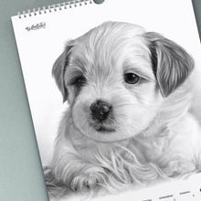 Laden Sie das Bild in den Galerie-Viewer, Hunde Welpe Kalender 2021