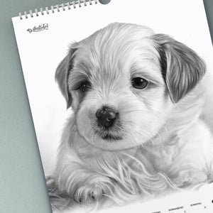 Hunde Welpe Kalender 2021