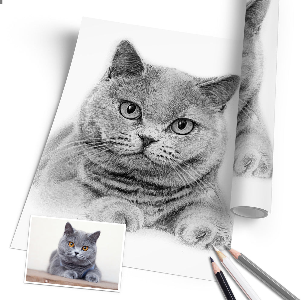 Katzenportrait nach Foto von My Illustrated