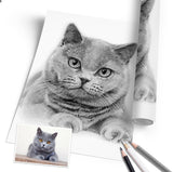 Katzenportrait nach Foto – Beispiel 1