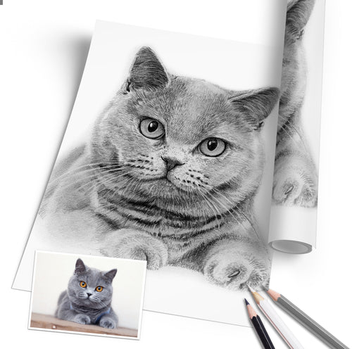 Katzenportrait gestalten
