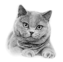 Laden Sie das Bild in den Galerie-Viewer, Katzenportrait – Katze zeichnen lassen - handgezeichnet - Zeichnung